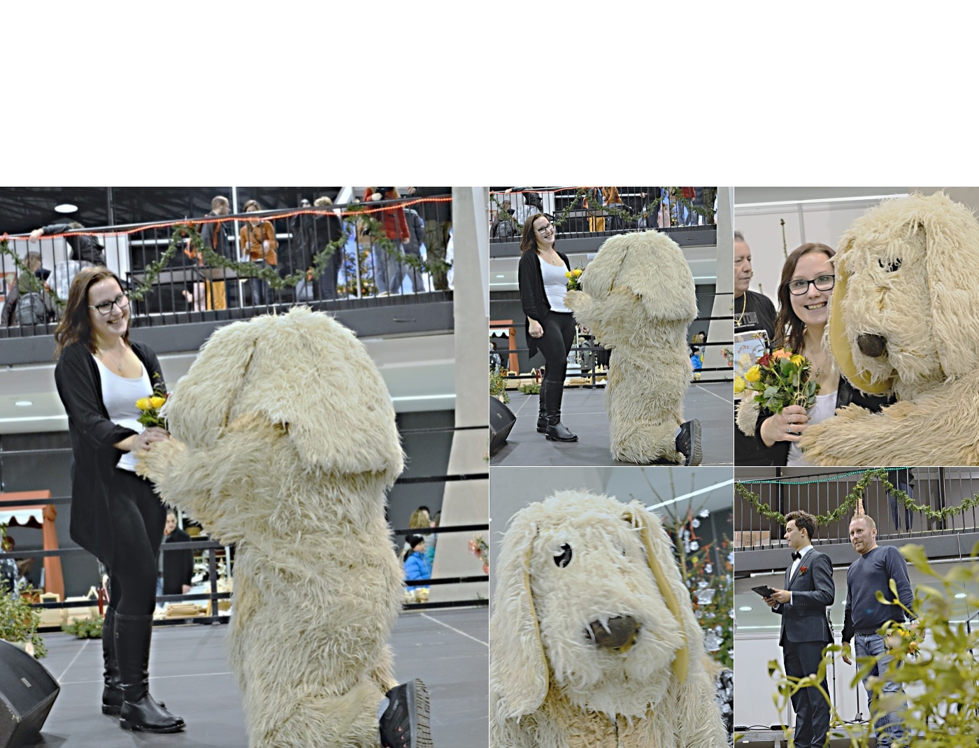 Dejme šanci dětem 2017, výstaviště Flora Olomouc
